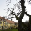 Kloster Strahlfeld 2016 02